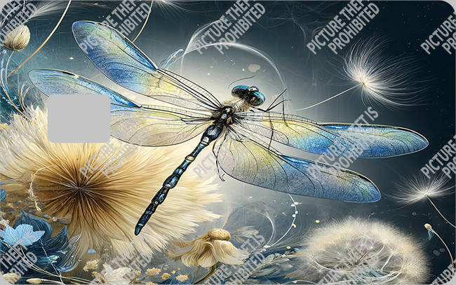 Bank  Card Sticker-BC-2123